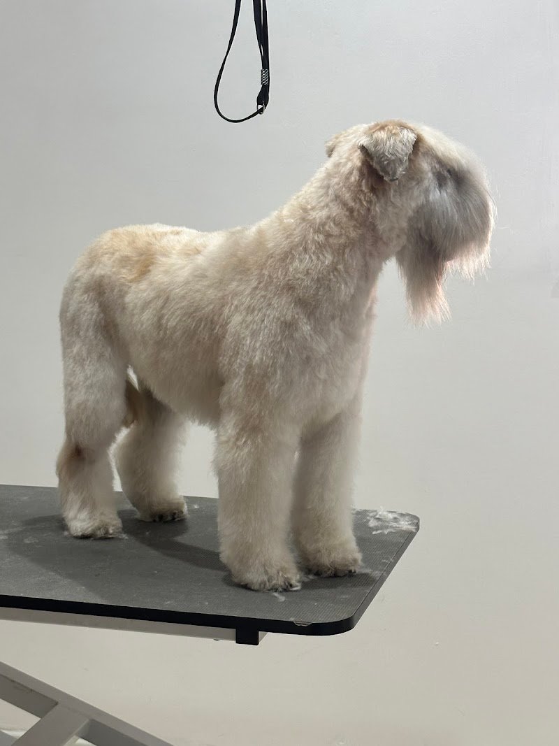 2M Grooming Saloon - Foto 3