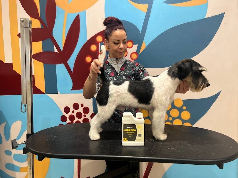 2M Grooming Saloon - Foto 4