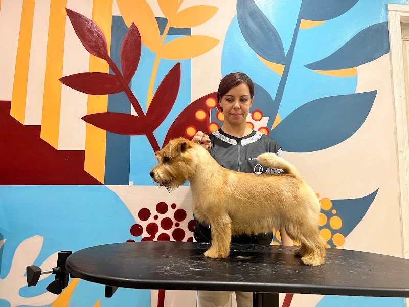 2M Grooming Saloon - Foto 5