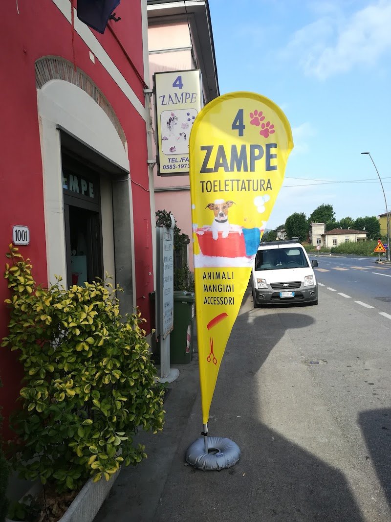 4 Zampe - Foto 1