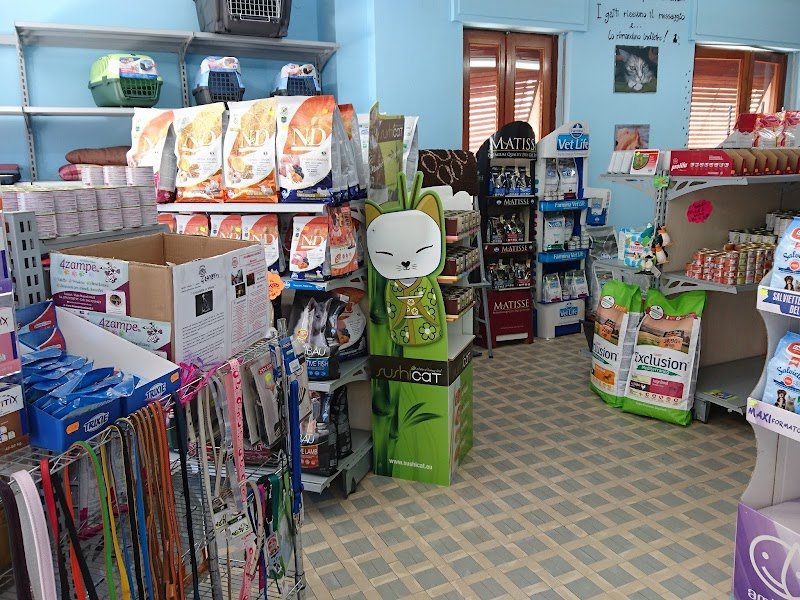 4 Zampette di Barbara Cadelano - Foto 1