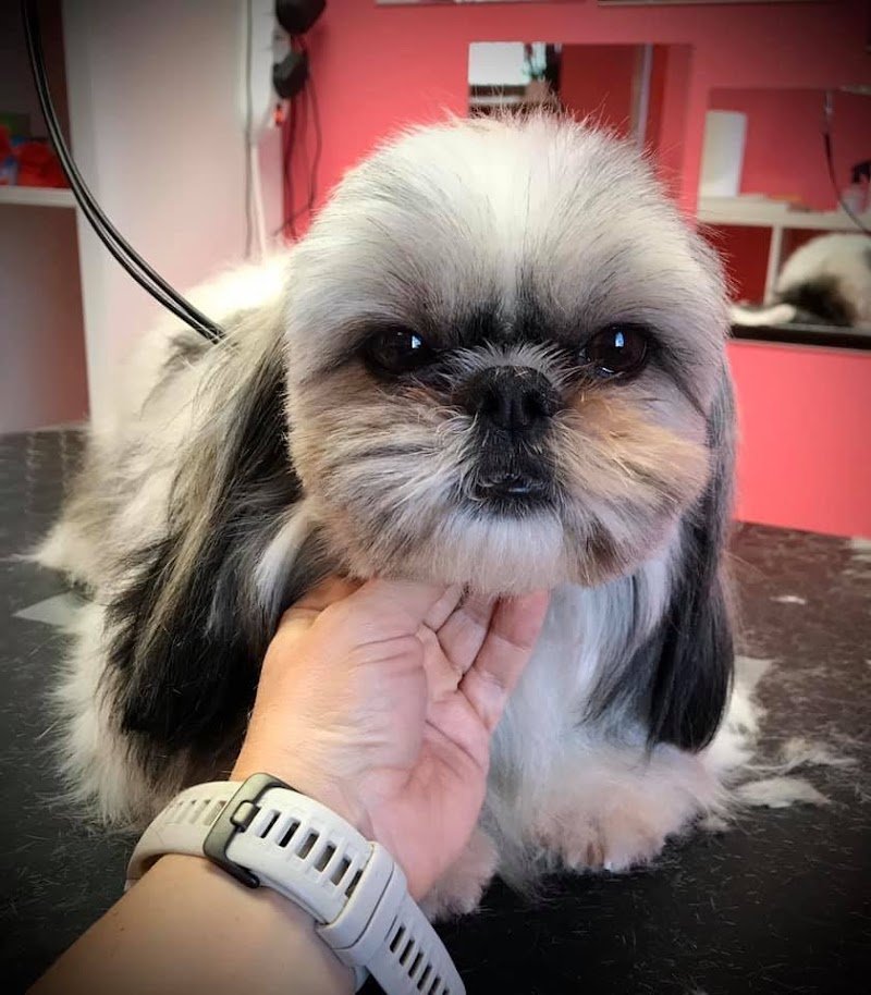 A Casa Di Luly Udine - Foto 3