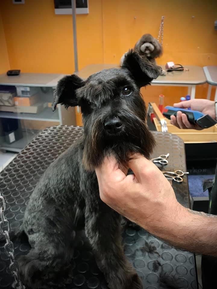 A Casa Di Luly Udine - Foto 4