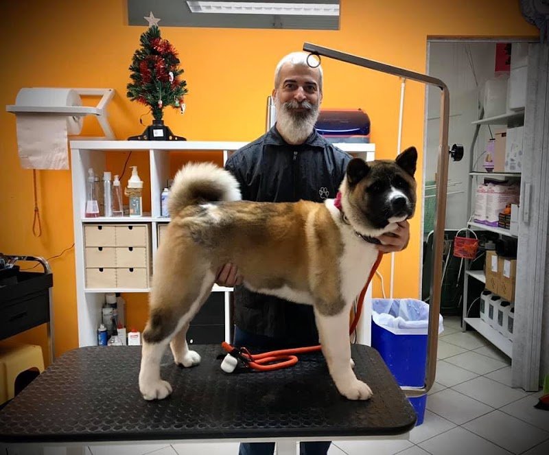 A Casa Di Luly Udine - Foto 5