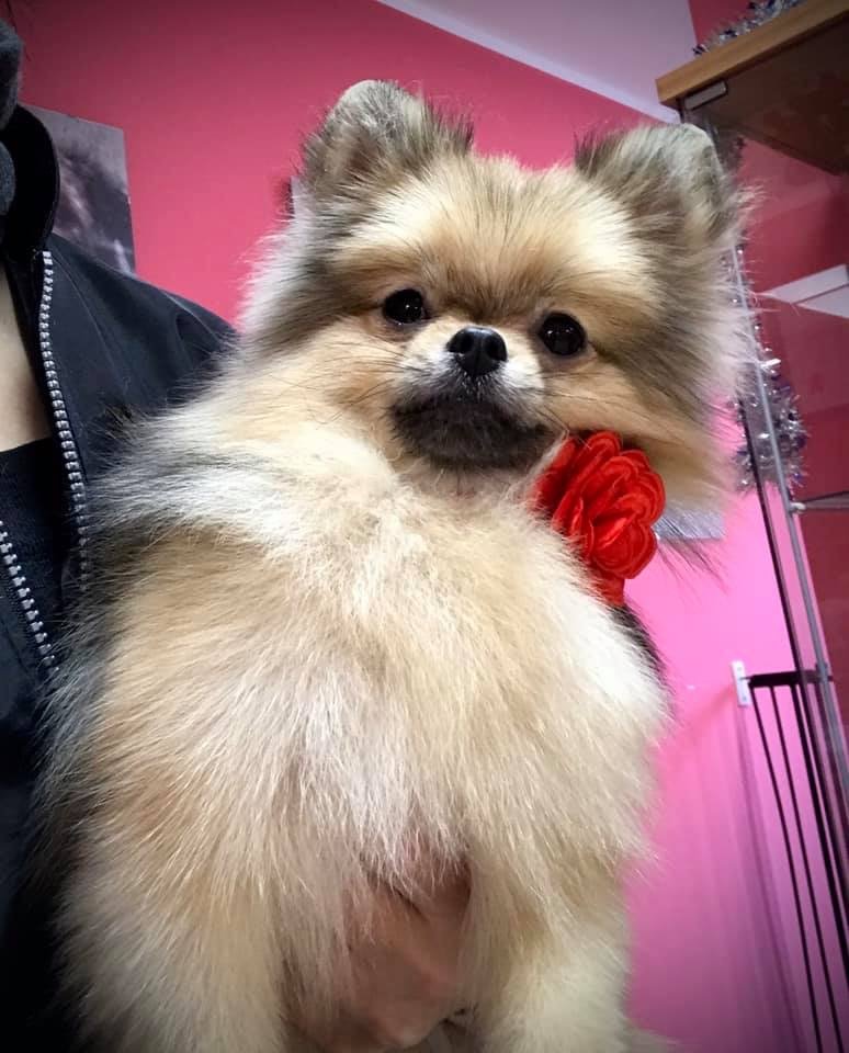 A Casa Di Luly Udine - Foto 6