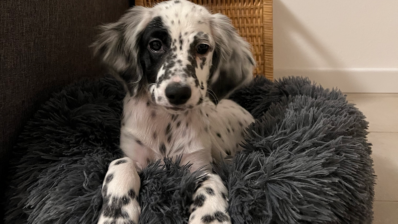 A casa di Tom - Foto 1