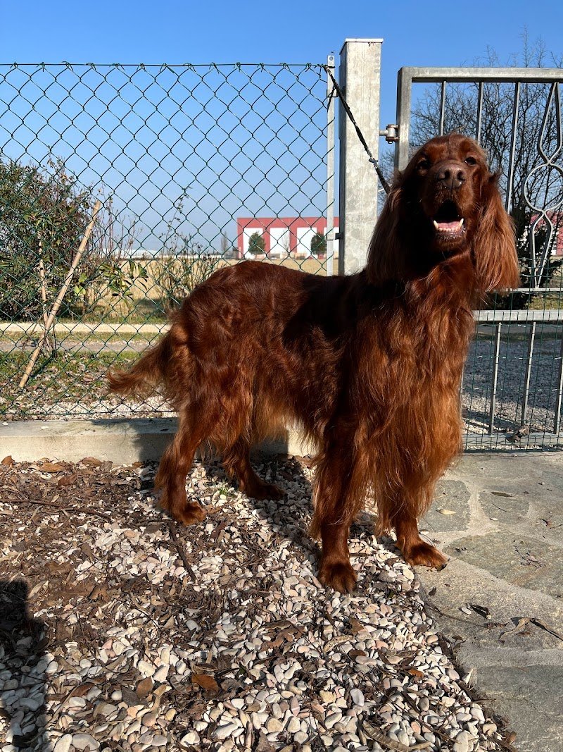 A casa di Tom - Foto 3