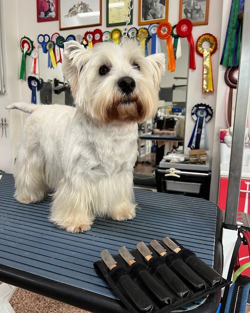 A casa di Tom - Foto 4