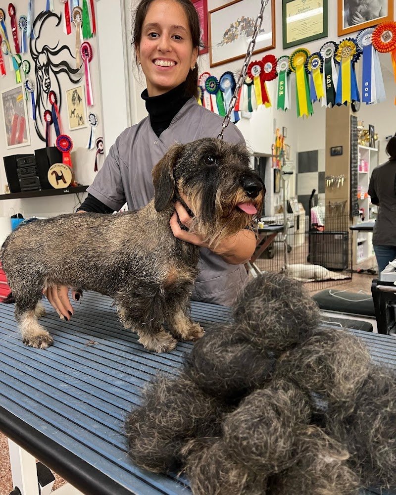 A casa di Tom - Foto 5