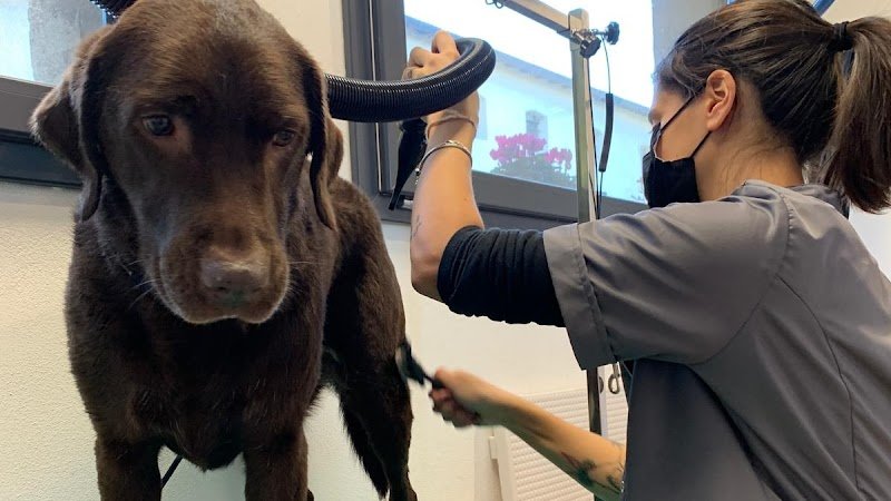 A casa di Tom - Foto 6