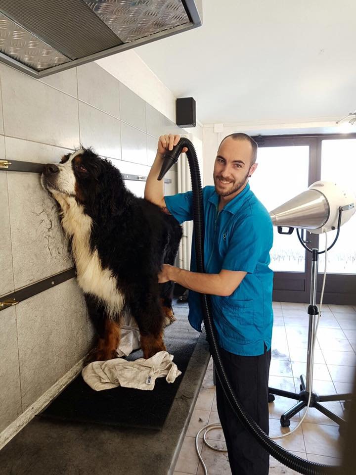 A Tutto Pelo - Foto 4