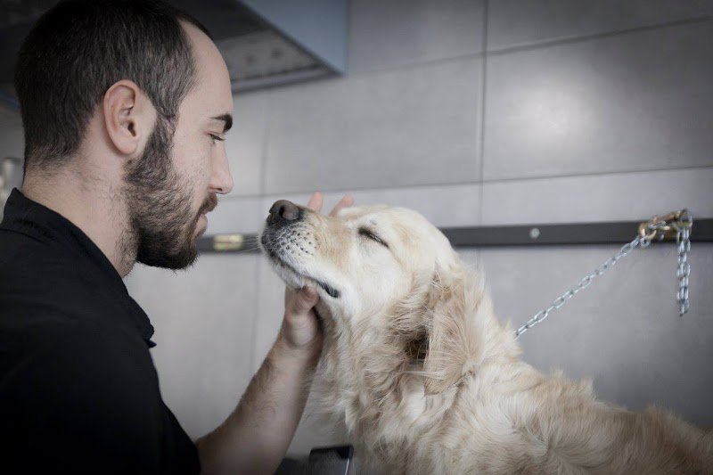 A Tutto Pelo - Foto 5