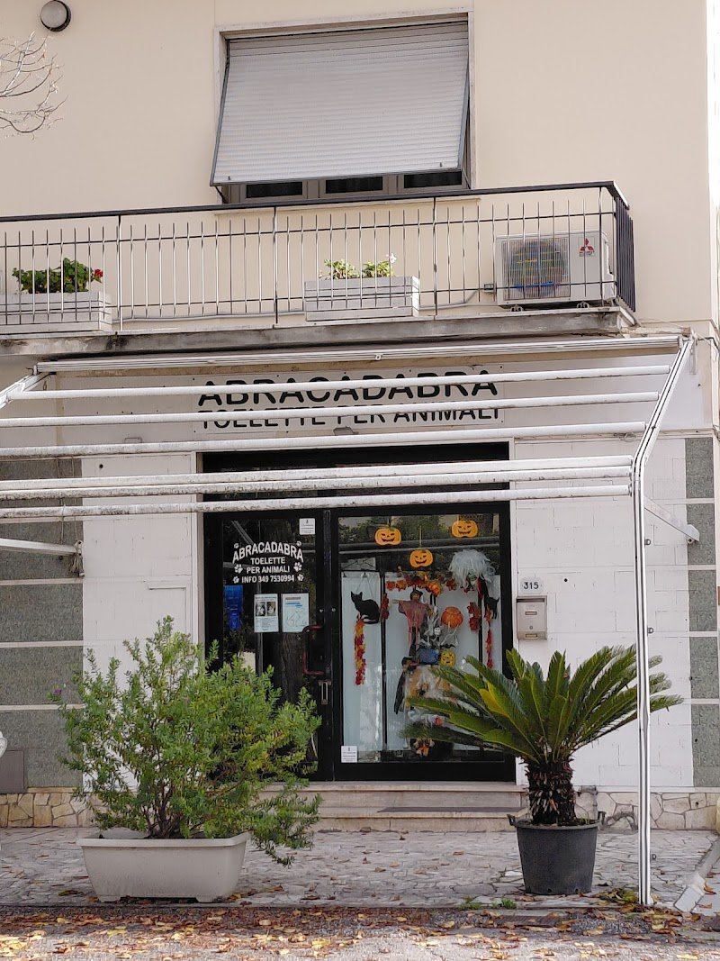 Abracadabra toelette per animali - Foto 1