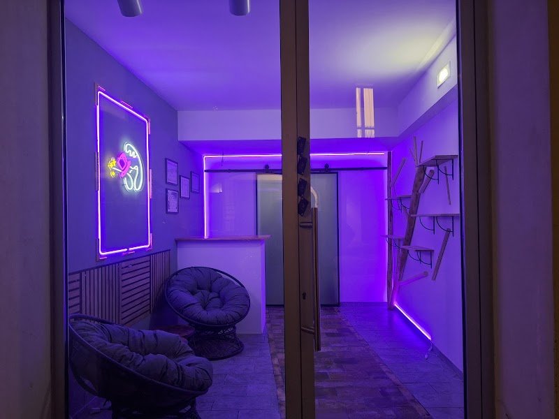 Abracadabrador - Foto 1