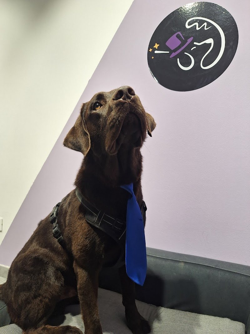 Abracadabrador - Foto 4