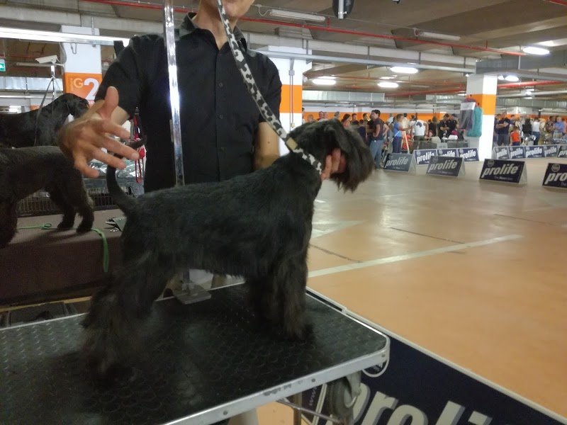 Acqua E Sapone Di Messina Giulio - Foto 3