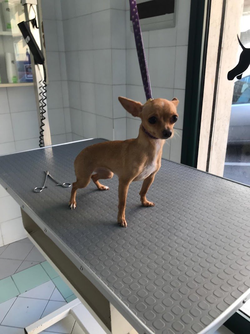 Acqua E Sapone Di Messina Giulio - Foto 6