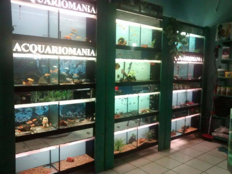 Acquariomania Orvieto Scalo - Foto 1