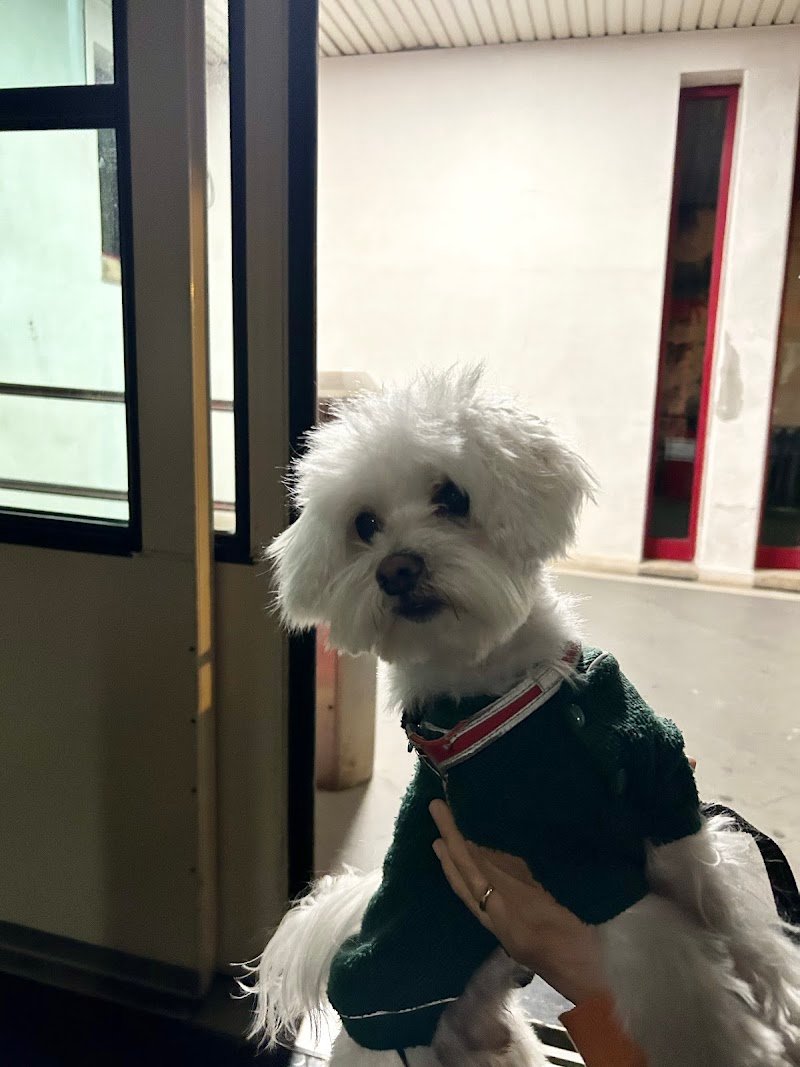 Acquariomania Orvieto Scalo - Foto 3