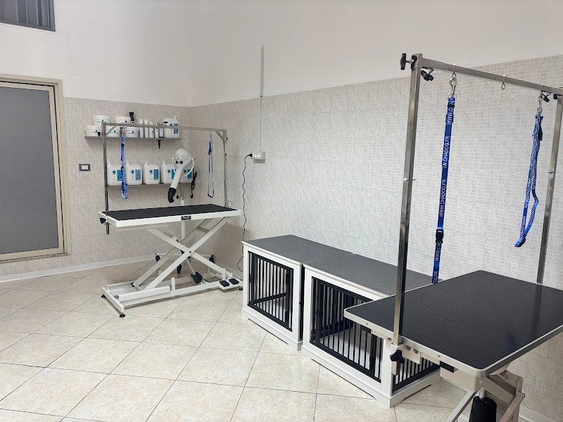 AG PET GROOMING & SPA - Foto 2