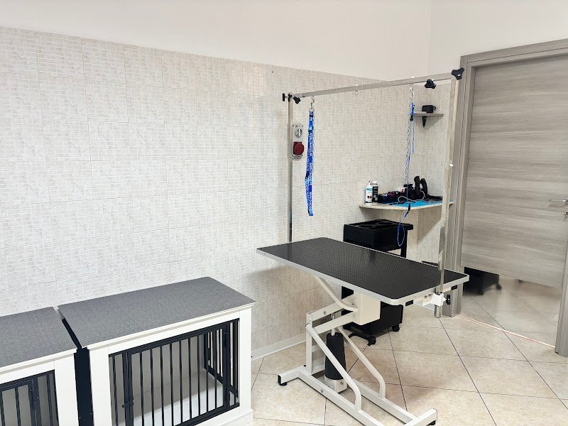 AG PET GROOMING & SPA - Foto 3