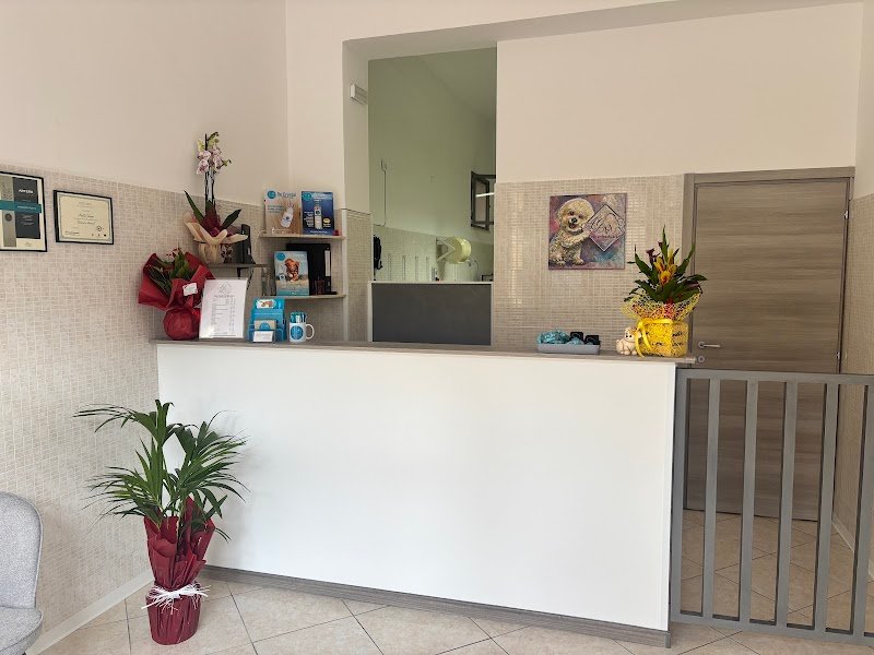 AG PET GROOMING & SPA - Foto 5