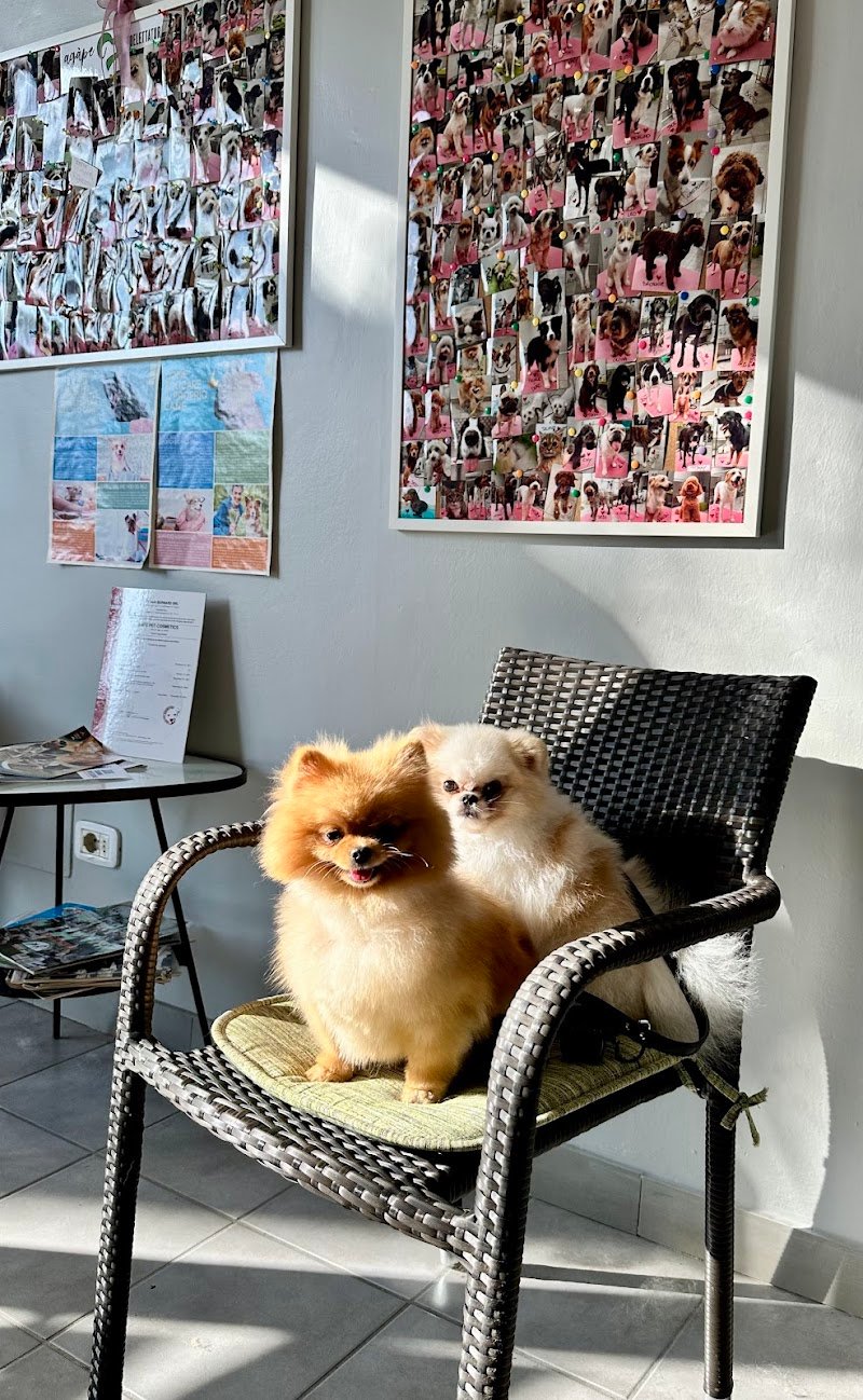 Agàpe Toelettatura - Foto 3