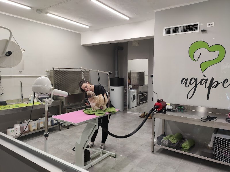 Agàpe Toelettatura - Foto 6