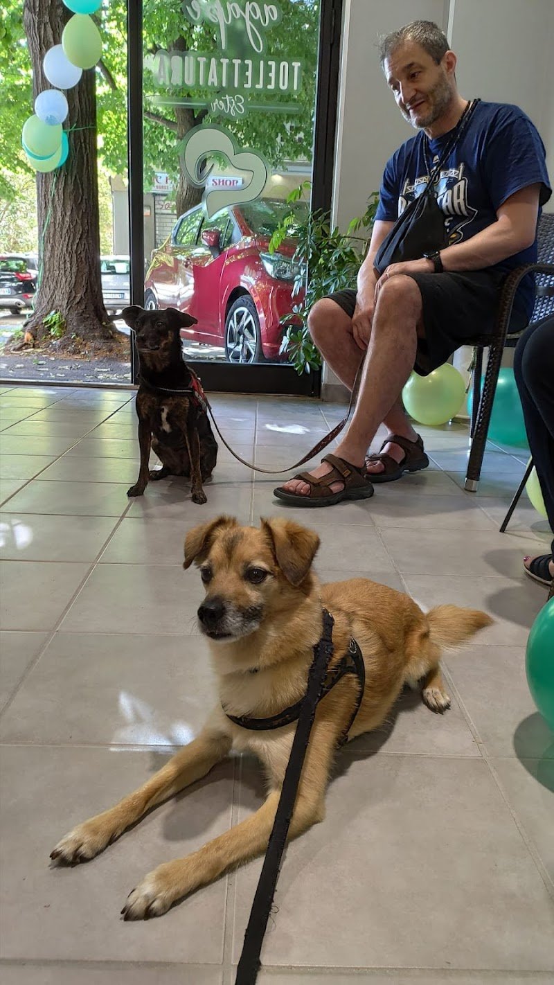 Agàpe Toelettatura - Foto 6