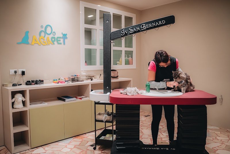 Agapet Toelettatura - Foto 1