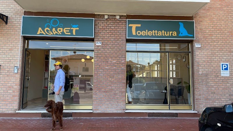 Agapet Toelettatura - Foto 6