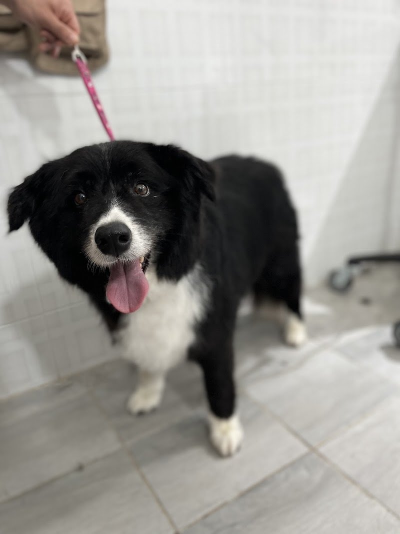 Agriverdebio - Foto 1