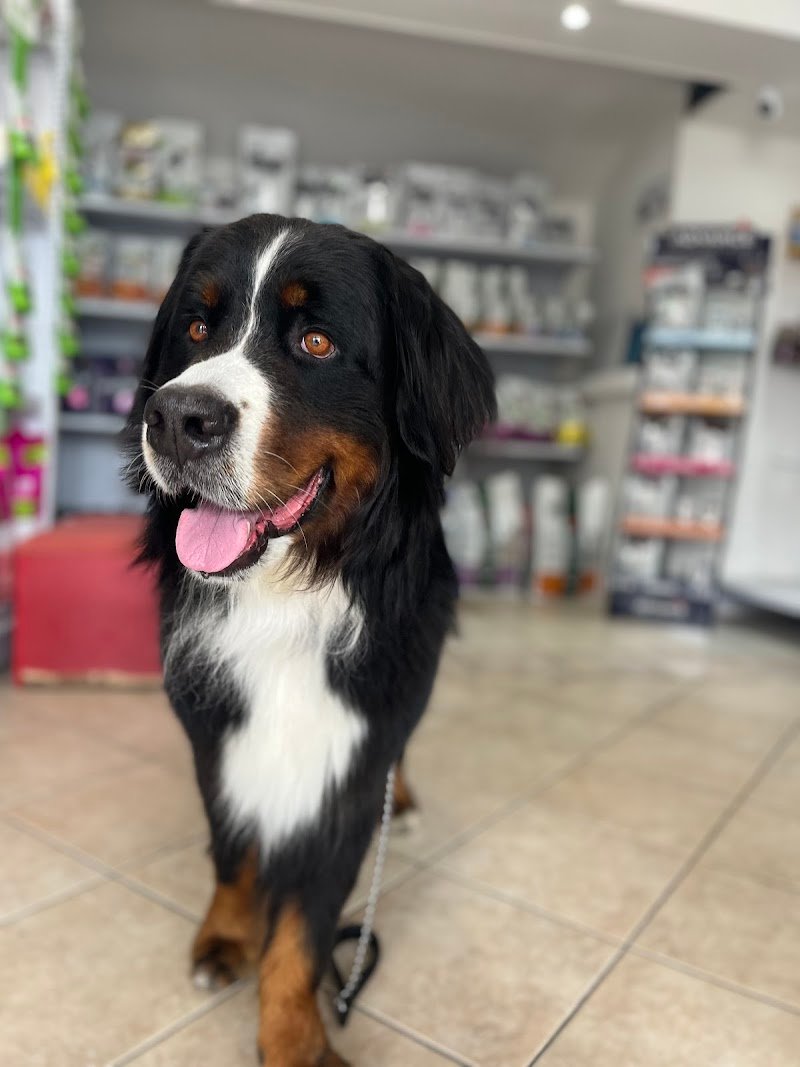 Agriverdebio - Foto 2