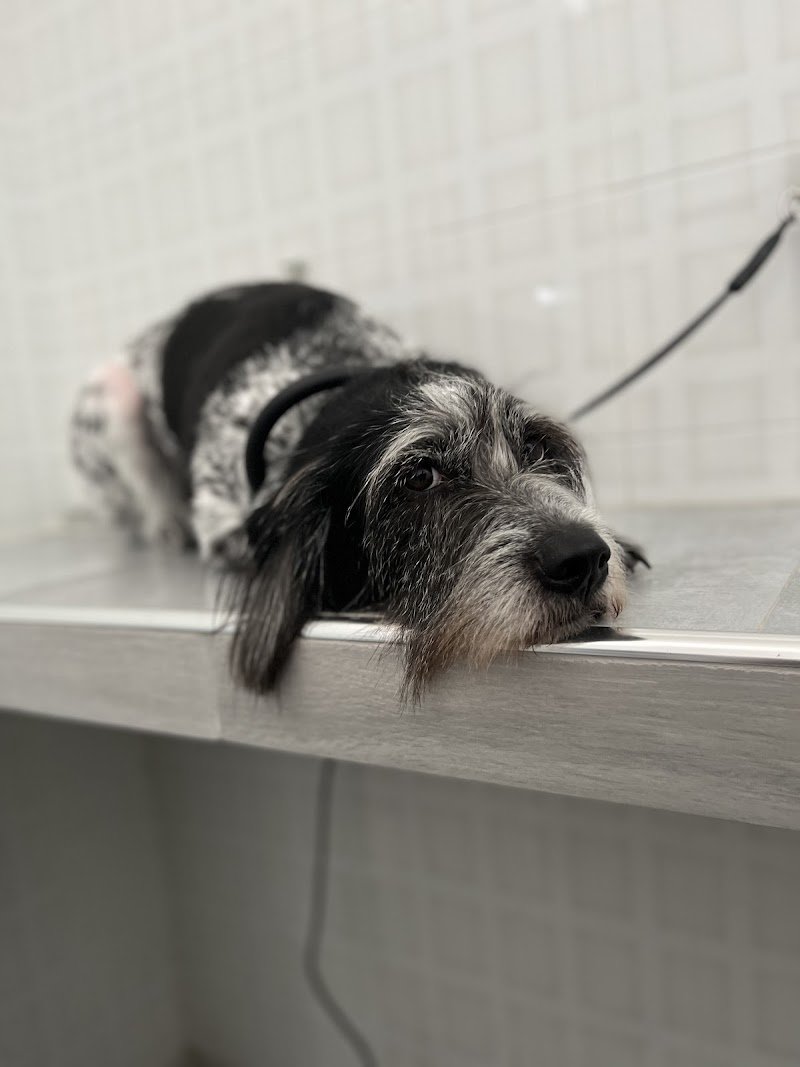 Agriverdebio - Foto 3