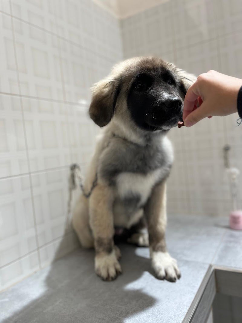 Agriverdebio - Foto 4