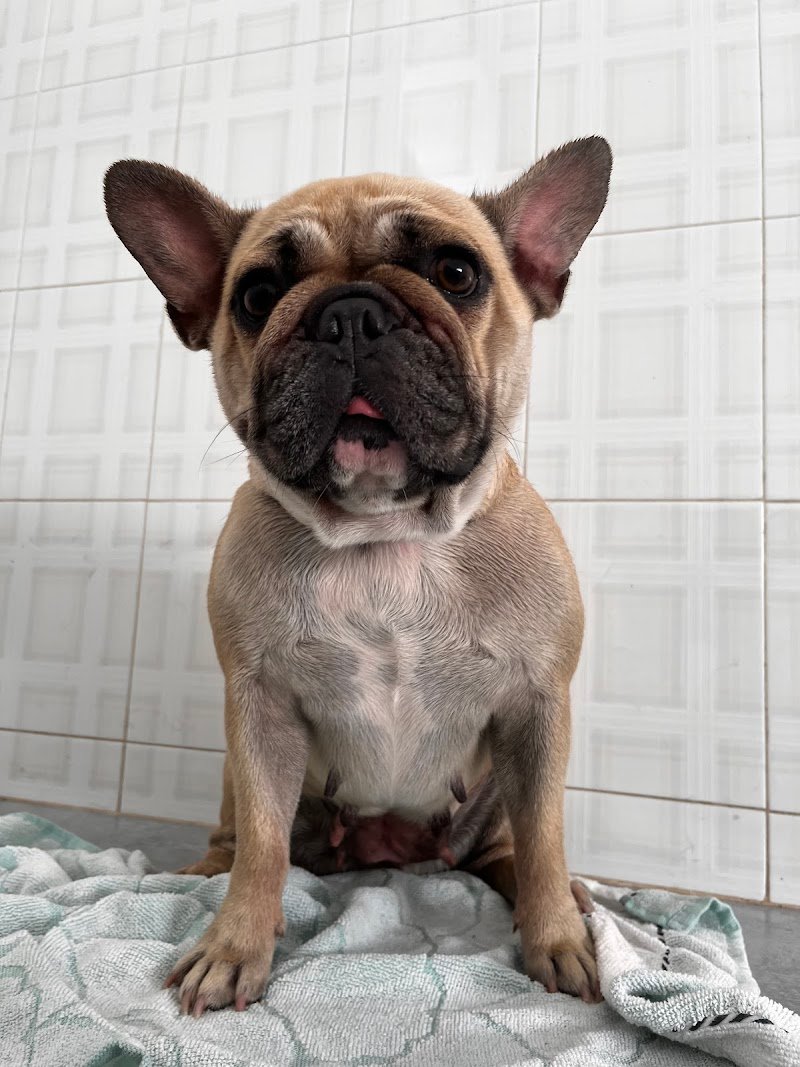 Agriverdebio - Foto 5