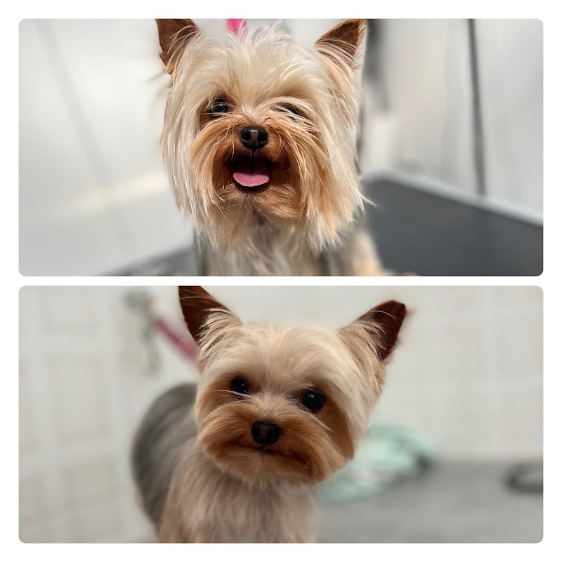 Agriverdebio - Foto 6