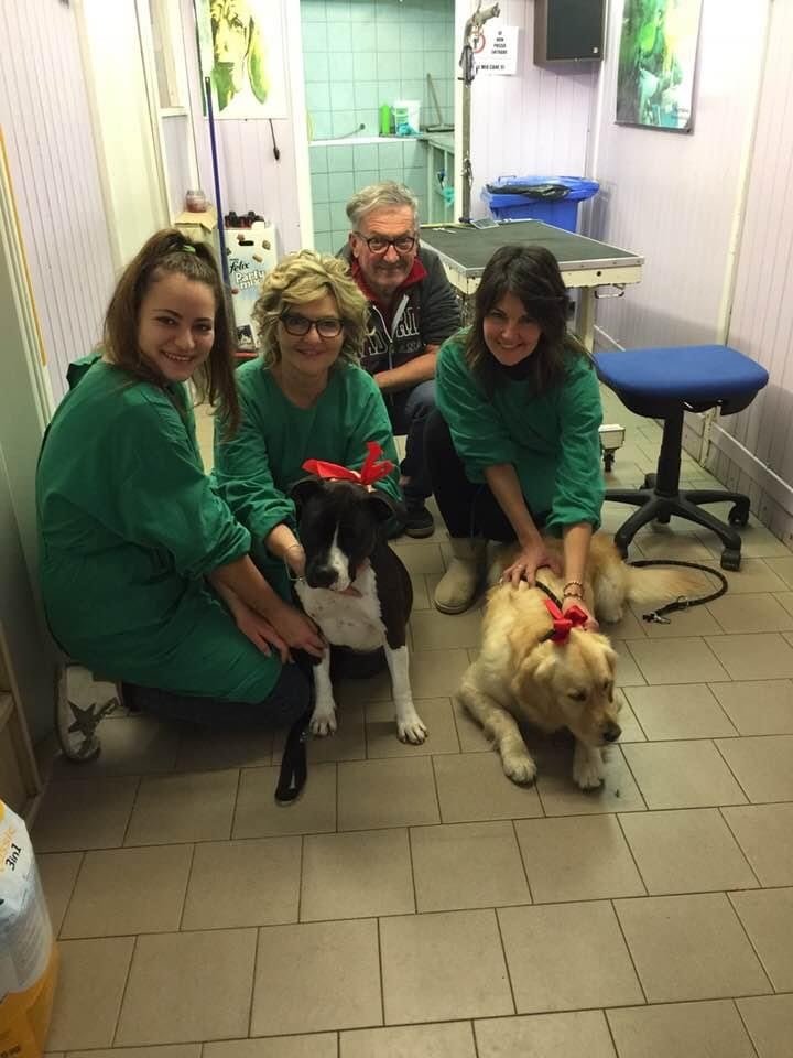 Agrizoo di Farabegoli Monia - Foto 1