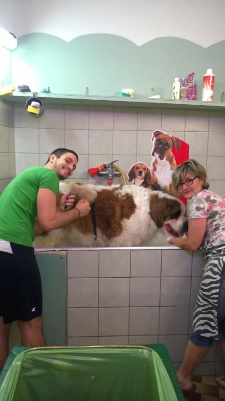 Agrizoo di Farabegoli Monia - Foto 2