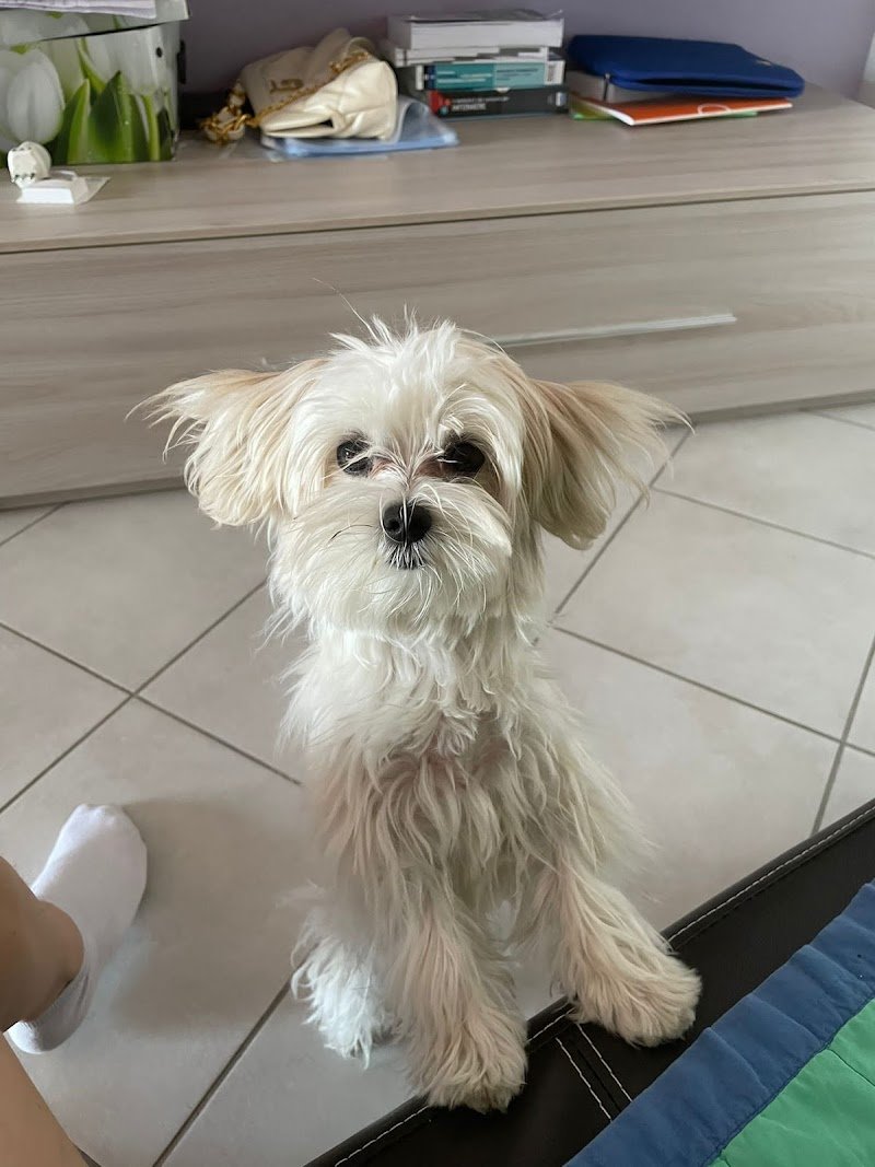 Agrizoo di Farabegoli Monia - Foto 3