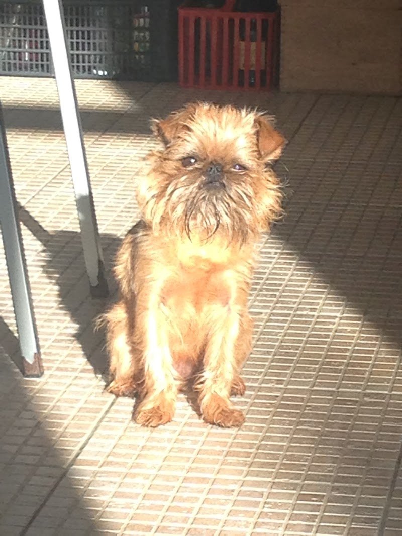 AIRZEPPELINE & ARYAKAS - Foto 6