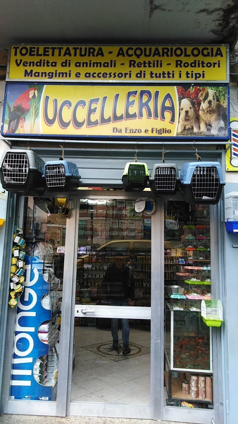 al piccolo zoo uccelleria e toelettatura - Foto 1