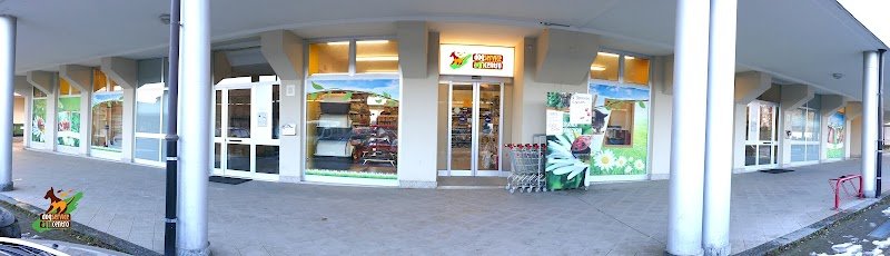 Alimenti e Prodotti per Animali Dog Service - Foto 1