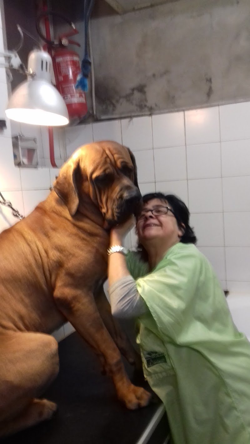 Allegra Compagnia Di Candioto Marianna - Foto 5