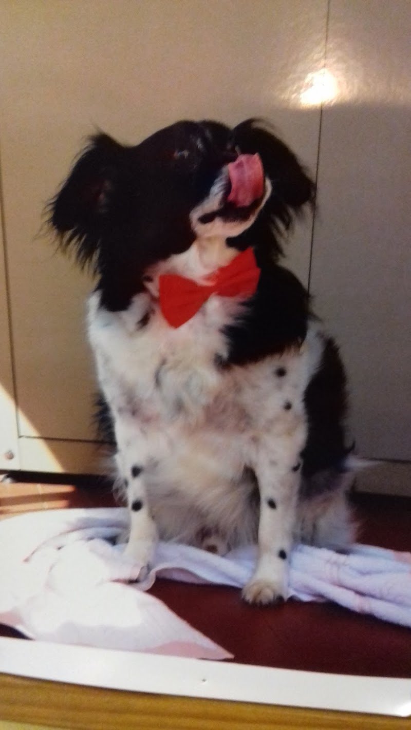 Allegra Compagnia Di Candioto Marianna - Foto 6