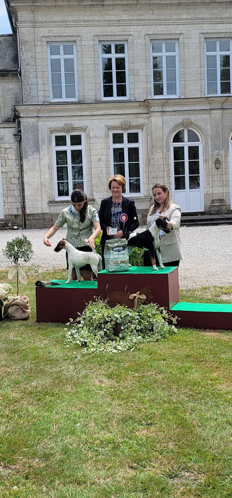 Allevamento Star Pride Di Stefania Savini - Foto 1