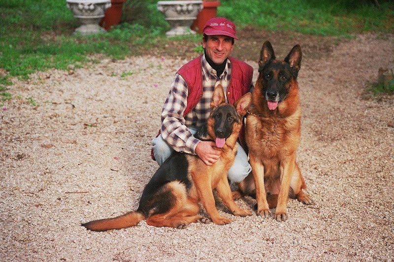 Allevamento Villa Dei Cedri Di Ciciriello Olimpio - Foto 1