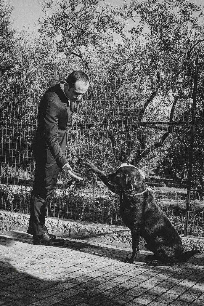 Allevamento Villa Dei Cedri Di Ciciriello Olimpio - Foto 3