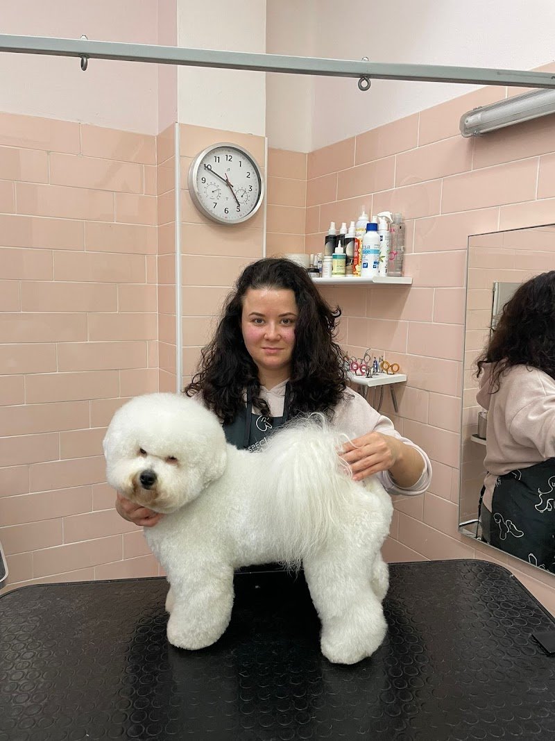 Almamia Toelettatura Boutique - Foto 3