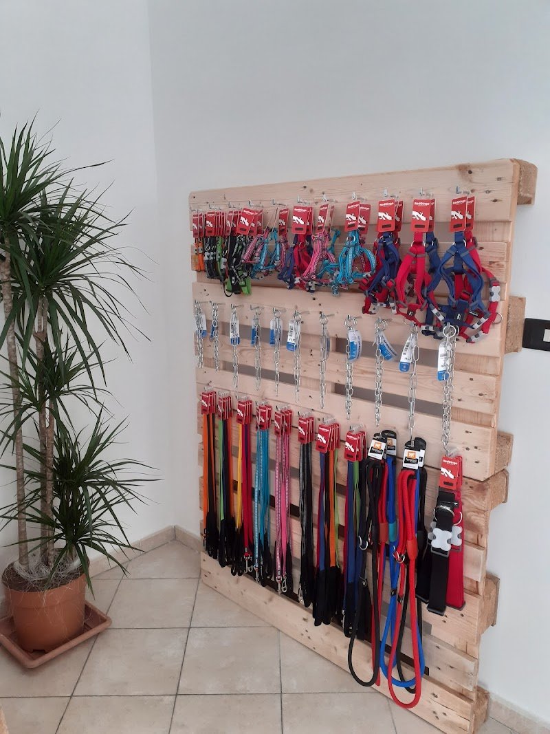 ALPHA self beauty&dog shop - Foto 2